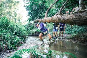 BIB: 
                            <button type="button" onclick="openModal(25443353)" class="btn btn-primary btn-sm float-right btn-popup" data-toggle="modal" data-target=".modal-high-quality">
                        <i class="fas fa-shopping-cart"></i> Add to Cart
                    </button>
                                            <button type="button" onclick="isThisMe(25443353, true)" class="btn btn-success btn-sm float-right btn-popup btn-isme hidden" data-toggle="tooltip" data-placement="bottom" title="นี่คือรูปของคุณใช่ไหม คลิกที่นี่เพื่อเอาเข้าอัลบั้ม">
                        <i class="fas fa-plus"></i> Add to album
                    </button>
                    <button type="button" onclick="isThisMe(25443353, false)" class="btn btn-warning btn-sm float-right btn-popup btn-isnotme hidden">
                        <i class="fas fa-ban"></i> Remove from album
                    </button>